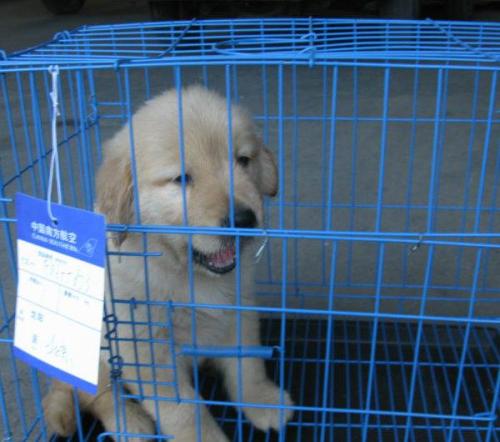 義烏到泰國物流專線